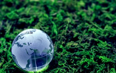 Les drones, nouveaux héros de la révolution agricole ?
