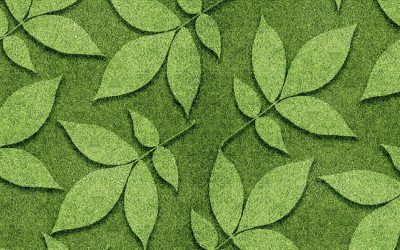 Invasion silencieuse : Quand les insectes deviennent la nouvelle source de protéines de l’agriculture.