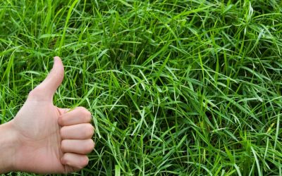 Pour un avenir durable : Comment l&rsquo;écologie peut nous sauver de nous-mêmes