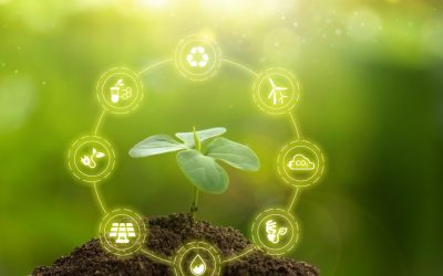 Agriculture 2.0 : Quand les Drones Prennent le Pouvoir dans Nos Champs