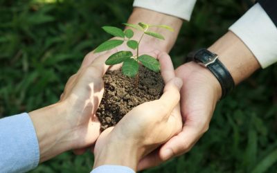 Agriculture et intelligence artificielle : comment les robots transforment nos fermes