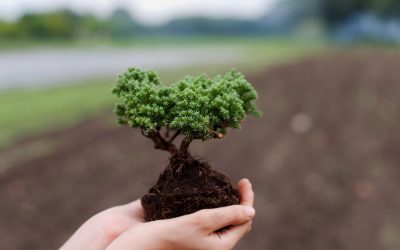 Les robots envahissent nos champs : La fin des agriculteurs humains ?
