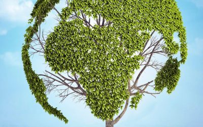 L’algorithme des plantes : comment l’intelligence artificielle booste l’agriculture