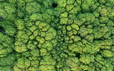 Les robots envahissent nos fermes : bienvenue dans l’agriculture 4.0