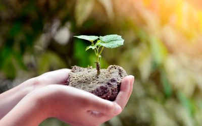 La permaculture peut-elle sauver l&rsquo;humanité ? Ce que nous révèle la science