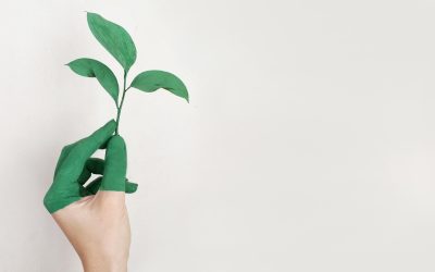Ecologie : Sauver la planète, c&rsquo;est maintenant ou jamais !