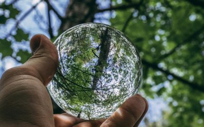 Récoltez les Étoiles: Quand les Agriculteurs s’inspirent de la Science-Fiction