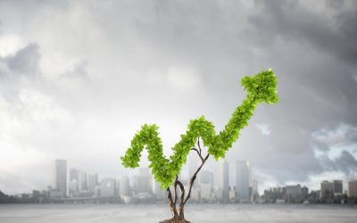 Les fermes verticales: Révolution silencieuse ou simple effet de mode?