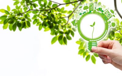La Révolution des Algues : Le Super-Aliment qui Sauvera l’Agriculture