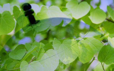 L’Intelligence Artificielle va-t-elle sauver ou détruire l’agriculture ?