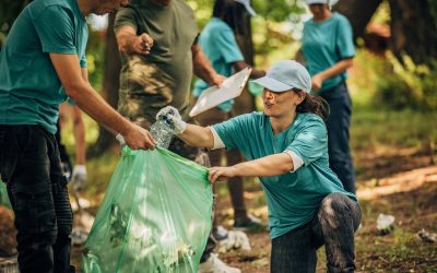Cultiver sans terre : l’agriculture aéroponique, future de nos récoltes ?
