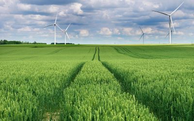 Sauver la planète : Les enjeux de l’écologie planétaire