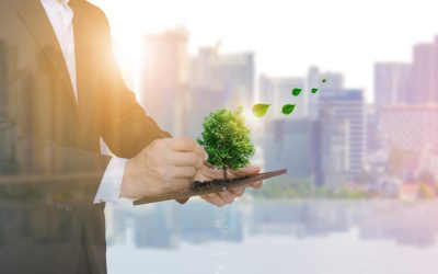 L’Agriculture Électrique : Quand Nos Champs Produisent Leur Propre Énergie !