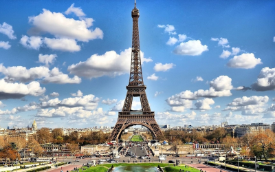 Veille environnementale 2025: cap sur climat, biodiversité et solutions durables