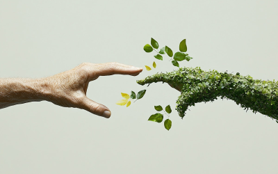 Veille environnementale 2025 actualités solutions et innovations pour la planète
